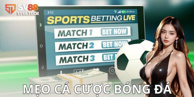 Lưu ý và sai lầm cần tránh